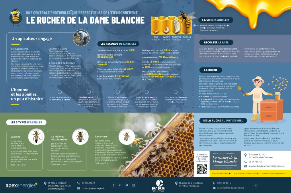 Un panneau éducatif sur l'abeille pour Apex Energies et EREA technologie