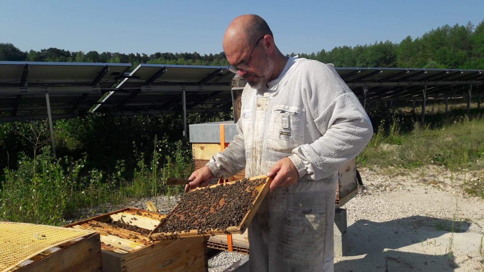 Le rucher de la Dame blanche inspectant les ruches du parc de panneaux photovoltaïques d'APEX énergies ou d'EREA technologie