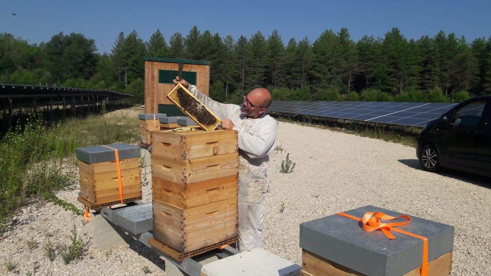 Michaël Preteseille le dirigeant du rucher de la Dame Blanche installe les ruches dans un parc de panneaux photovoltaïques d'APEX énergies ou d'EREA technologie
