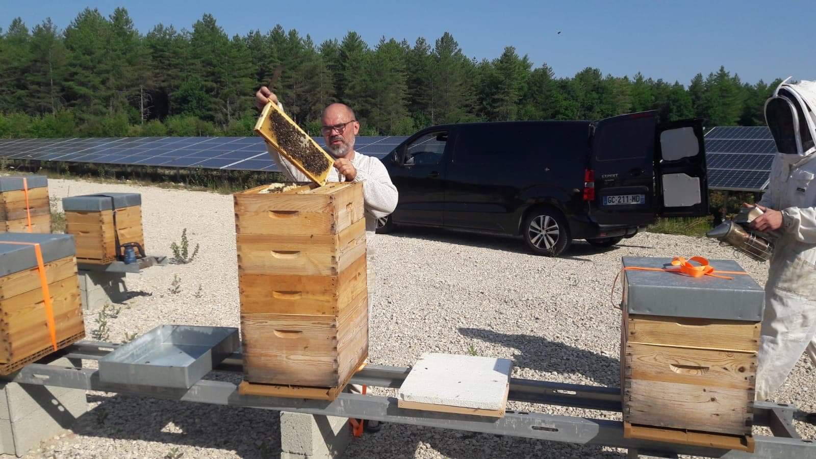 Le dirigeant du rucher de la Dame Blanche, Michaël Preteseille, installant des ruches dans un parc de panneaux photovoltaïques d'APEX énergies ou d'EREA technologie