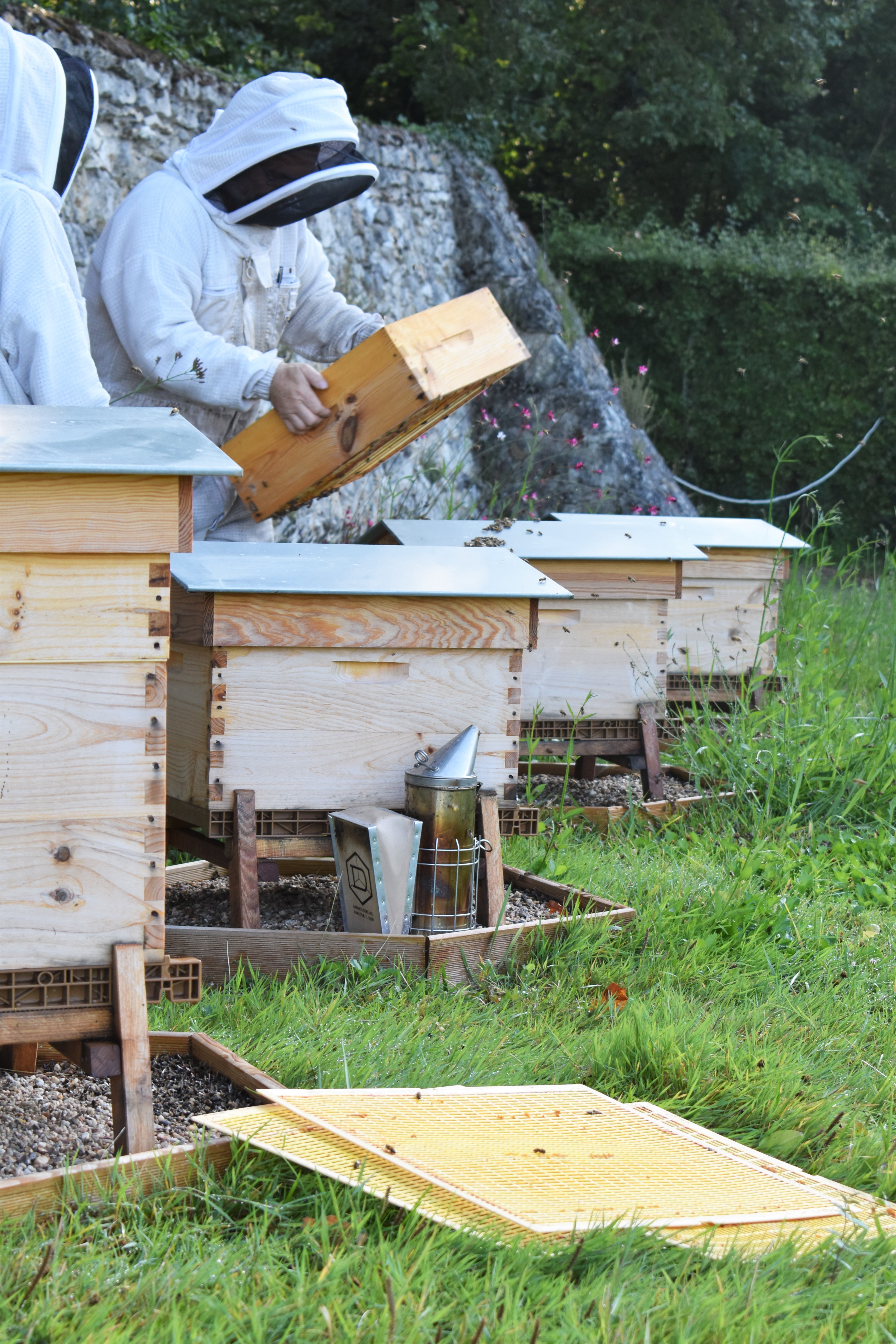 Le rucher de la Dame Blanche installant des ruches dans les jardins du Château de Villandry